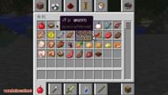 AppleSkin mod (Image via Mojang)